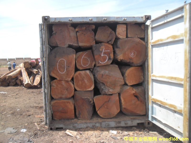 [��] ����ľ����Papao/Doussie