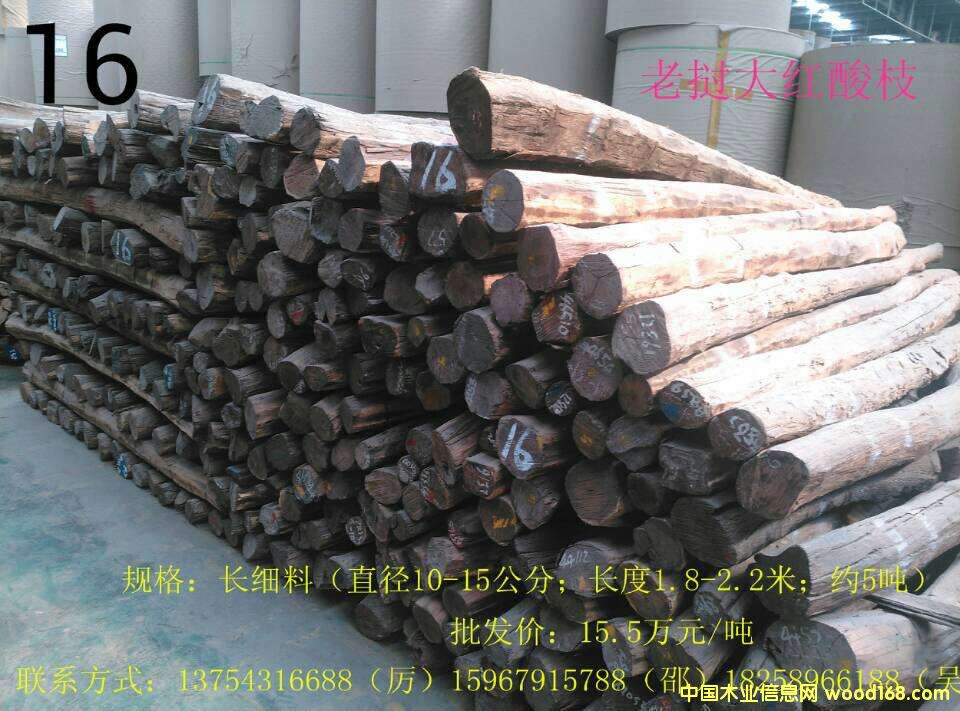 �ϓ��t��֦��Ԕ��(x��)��B