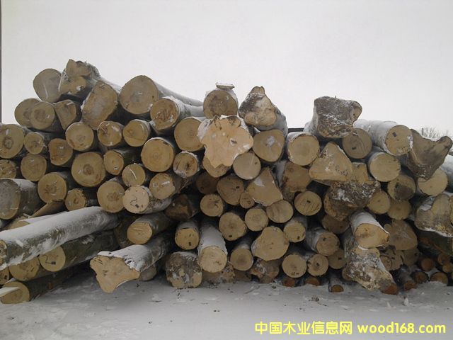 ��ľԭľ��Ԕ����B