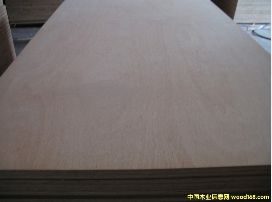 �Ҿ����z�ϰ�