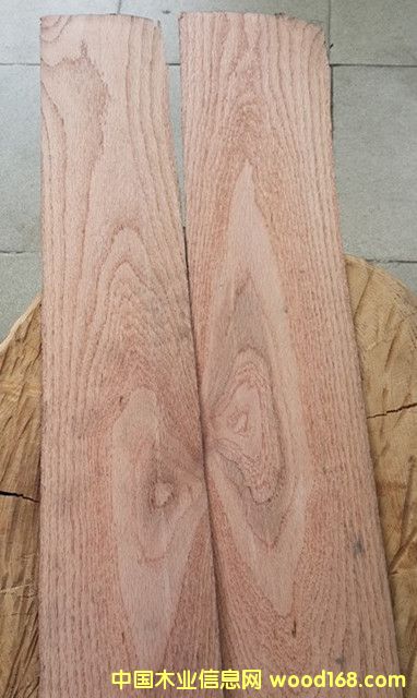 ��ľ��Ԕ����B