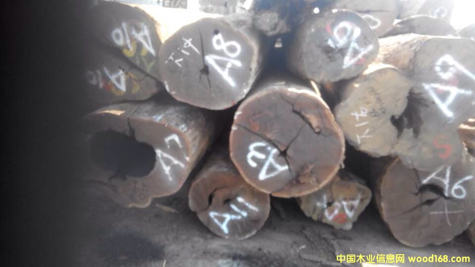 ���_�T(m��n)��̴��Ԕ��(x��)��B