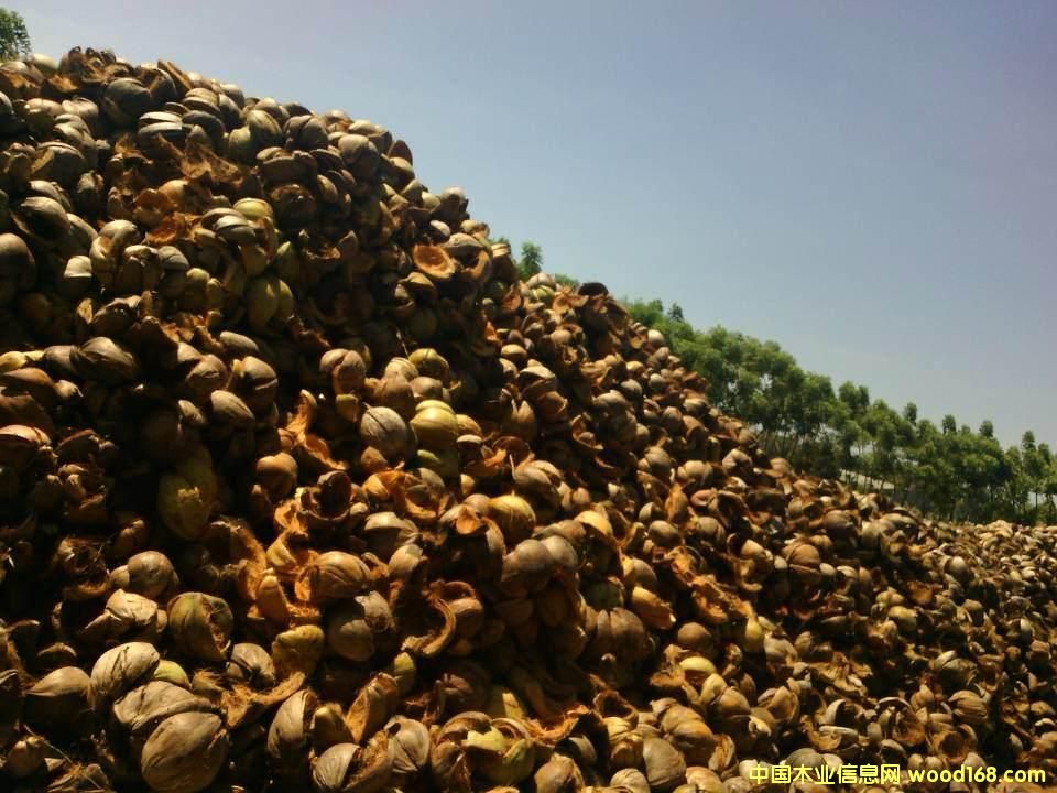 Ҭ������Ҭ��Ԕ��(x��)��B