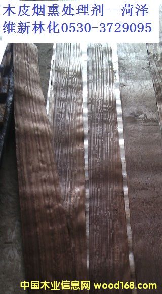 ��ѬľƤ̎�턩