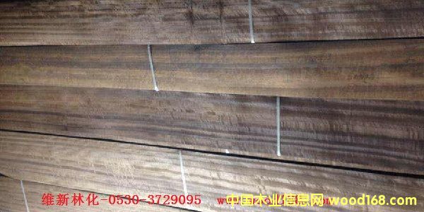 �ȼ�����ѬľƤ