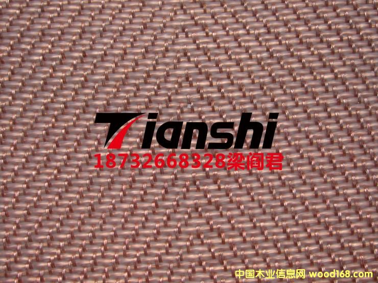 ���_�|��Ԕ��(x��)��B