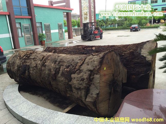 ԭľ��Ԕ��(x��)��B