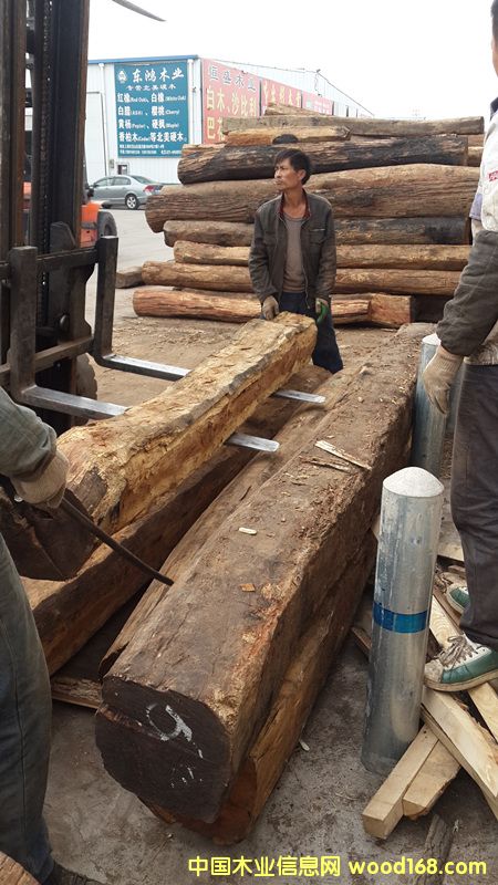 緬甸花梨 緬甸花梨