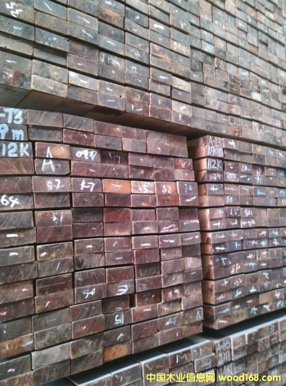 ������ľ