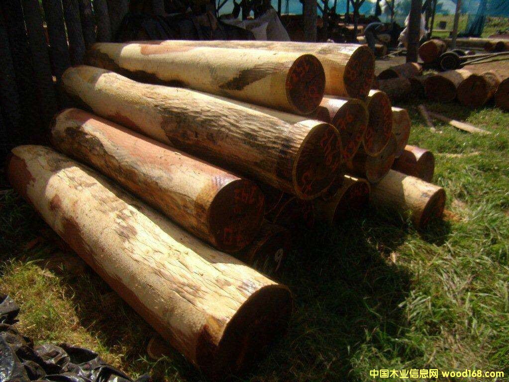 ������t̴��