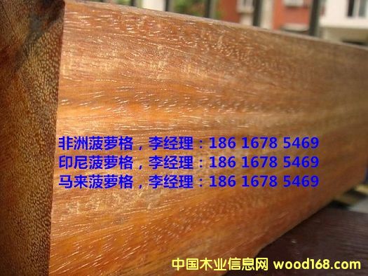 ���޲��}��ľ��Ԕ����B