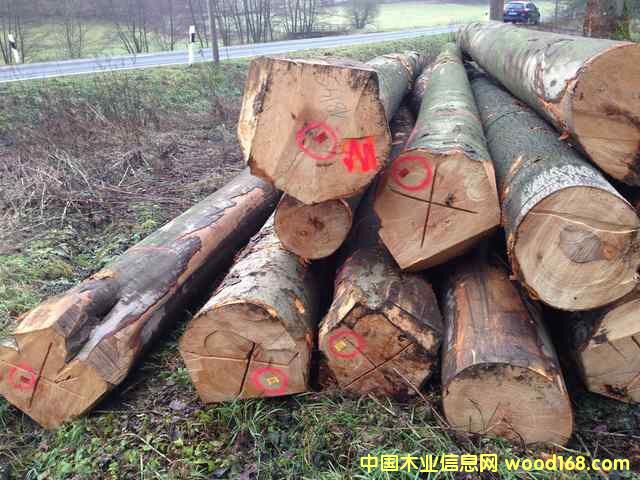 ��䏲ļ���ľԭľ��Ԕ����B