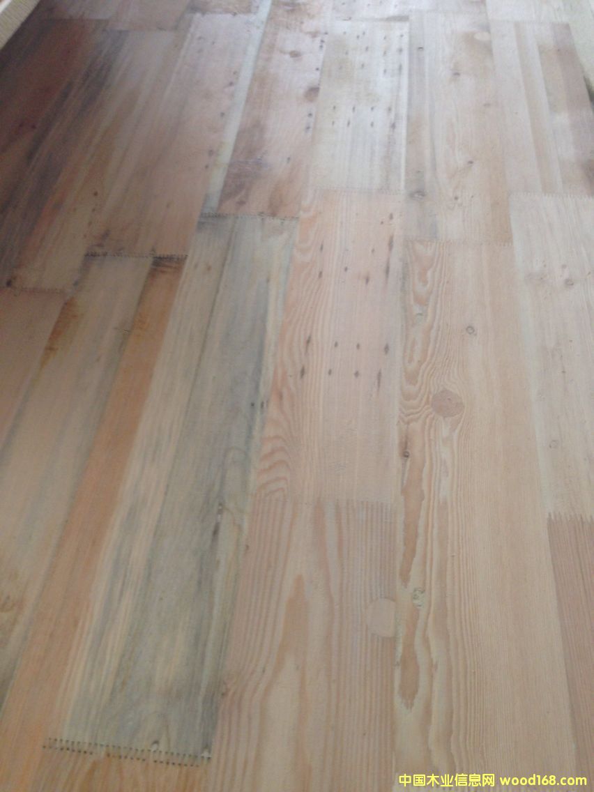 �c(di��n)���鿴��ľָ�Ӱ�Ŵ�DƬ