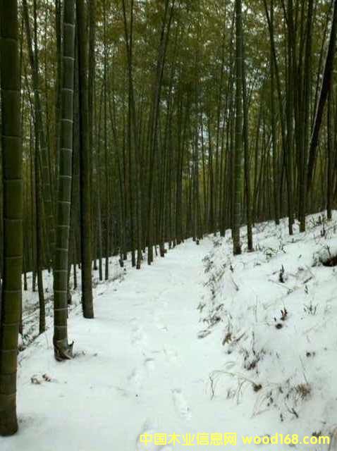 ��� ë�� ��Ƭ ��U ����Ʒ��Ԕ����B