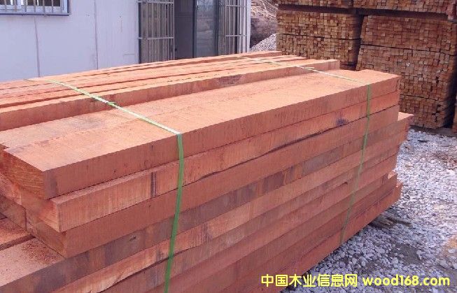 ɽ��ľ����Ƭ���Ԕ��(x��)��B