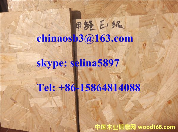 ��ľ�b�OSB