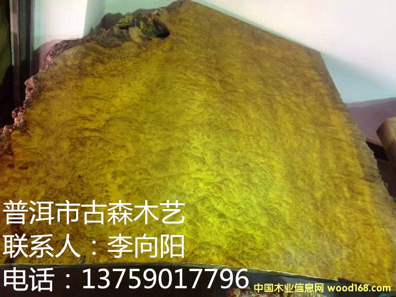 ��z�ľ������  �k����X��  ��Ԕ��(x��)��B