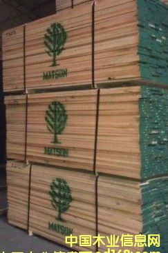 �t���Ԕ��(x��)��B