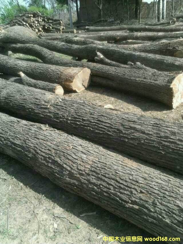 ɽ�|�ľ��Ԕ��(x��)��B