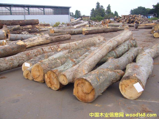 �ձ���ľԭľ��Ԕ��(x��)��B