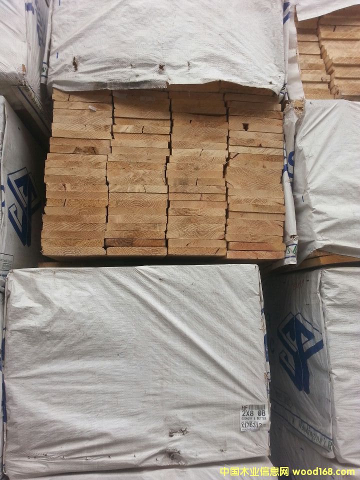 鐵杉的詳細(xì)介紹