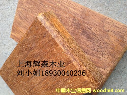 ӡ�Ფ�}��1��Ԕ����B