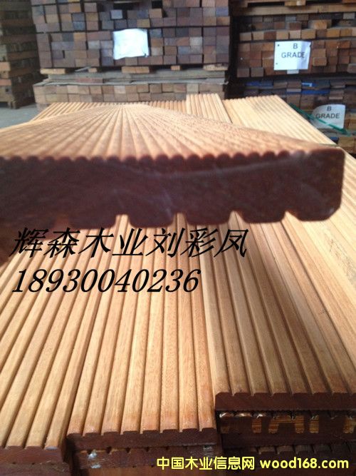 �̈́�ľ1��Ԕ����B