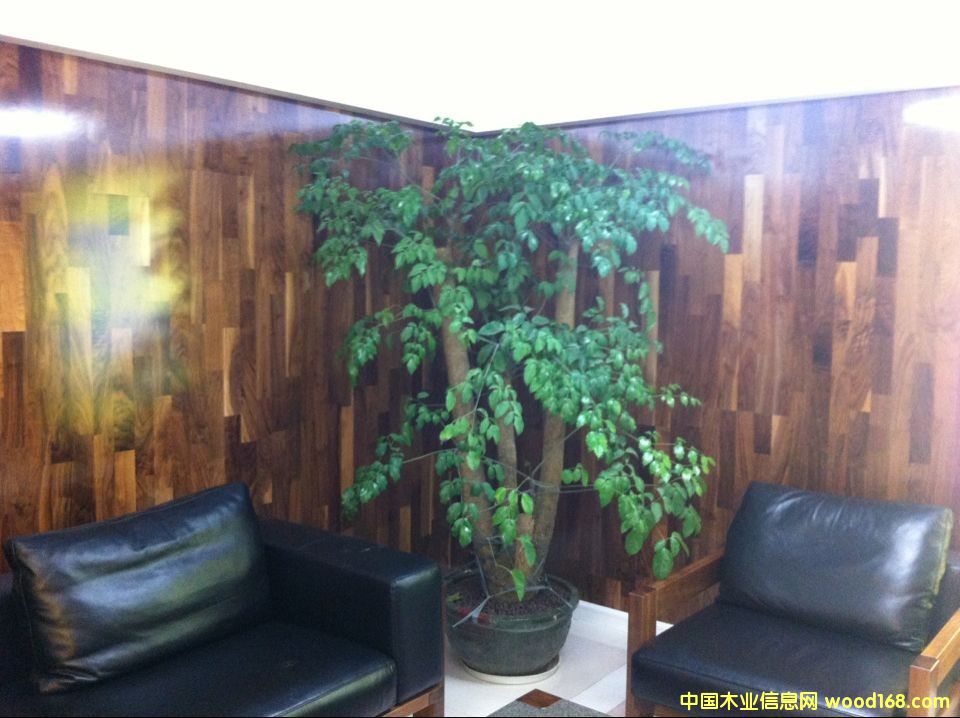 KS8356���_����ľ��Ԕ��(x��)��B