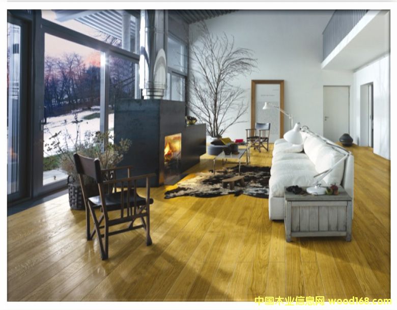 ks8106��˹����ľ