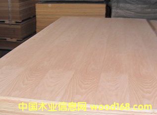 ָ�Ӱ����z�ϰ��������z�ϰ塢�����N����Ӱ��Ԕ����B