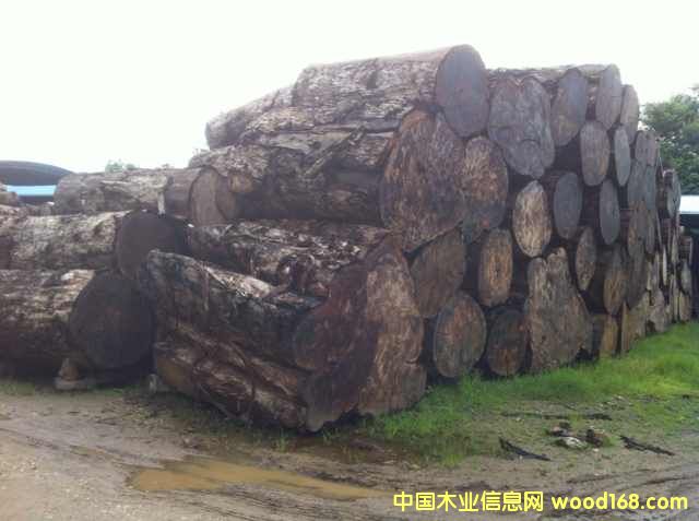 ��˹�/ˮ�t��/����ľ��Ԕ����B