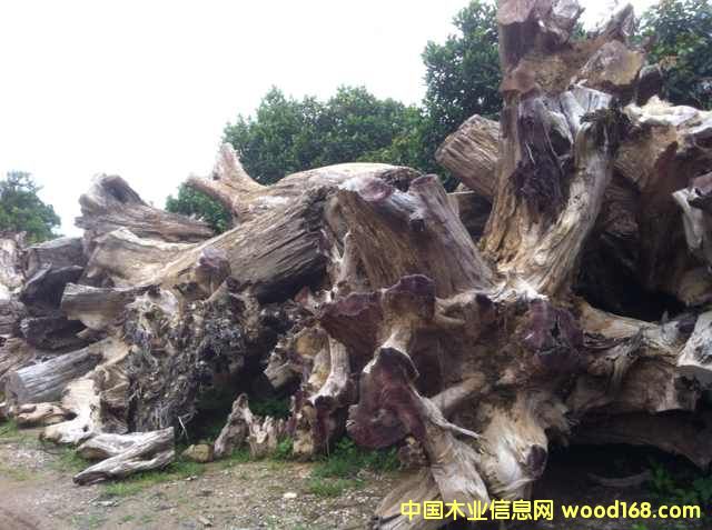 ���/�𻨘�/����骘����Ԕ����B