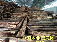 �ϓ��t��֦��Ԕ��(x��)��B