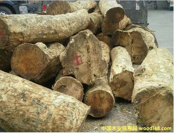 ����(y��ng)��С�~�S��ľ��Ԕ����B