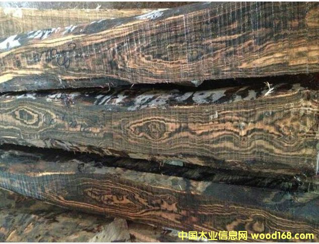 ����(y��ng)�V����(y��u)�|(zh��)����ľ��Ԕ����B