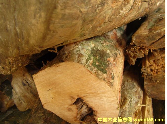 ����(y��ng)��С�~�S��ľ��Ԕ����B