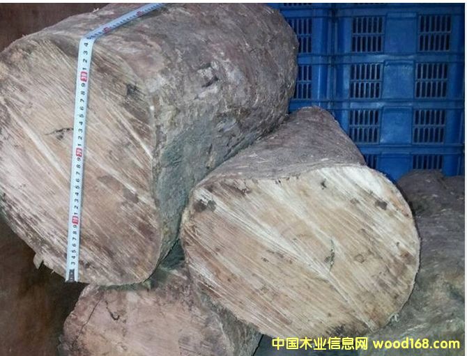 ����(y��ng)��С�~�S��ľ��Ԕ����B