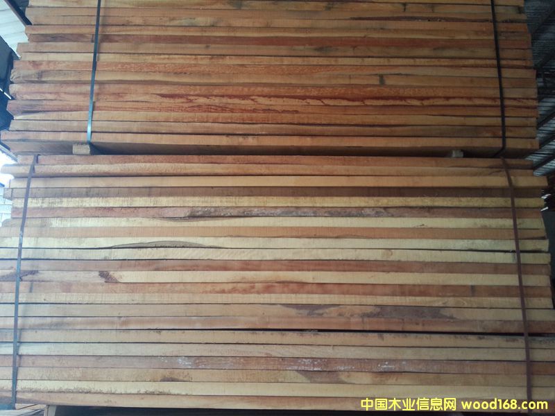 楠木的詳細介紹