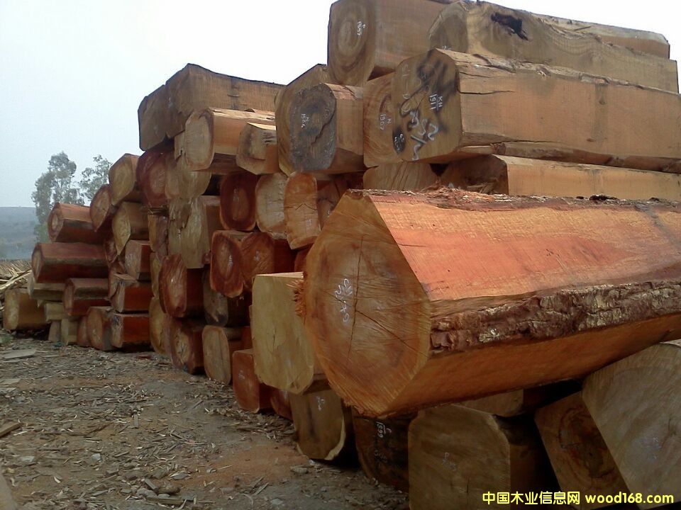 �����̴��̩��(gu��)�㻨�棩��Ԕ��(x��)��B