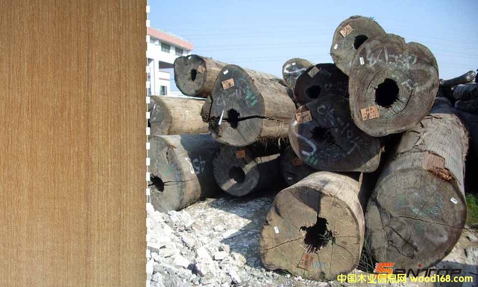 �S�̈́�ľ��Ԕ��(x��)��B