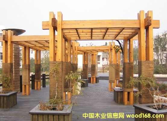 �c���鿴���l(f��)����ľ�Ŵ�DƬ