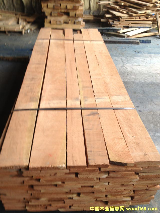 ��������ľ��Ԕ����B