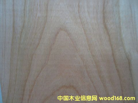 ���ҵ�Ԕ��(x��)��B