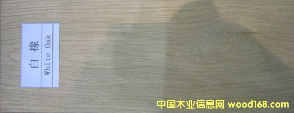 �����Ԕ��(x��)��B