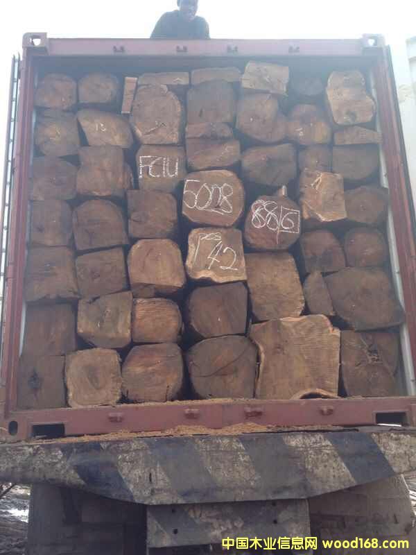 ���������������Ԕ��(x��)��B