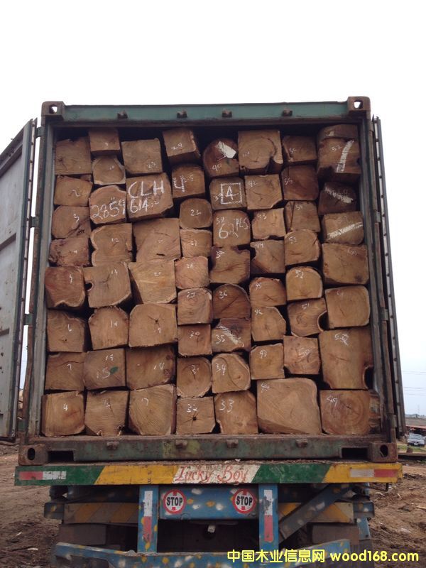 ���������������Ԕ��(x��)��B