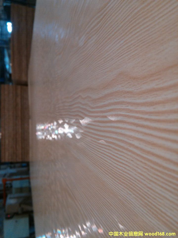 ���B(t��i)�僞(y��u)ȱ�c���B(t��i)��S�ҷ���