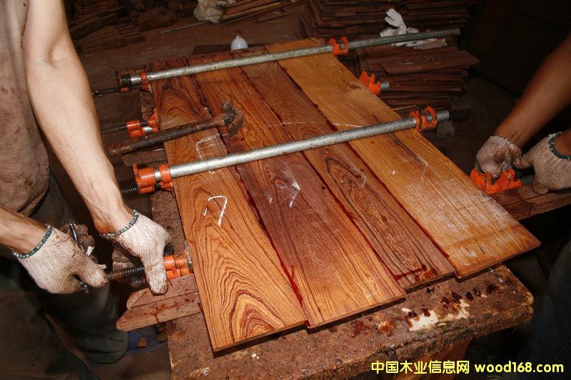 �c(di��n)���鿴YJ---�νM�ݼtľƴ���z�Ŵ�DƬ