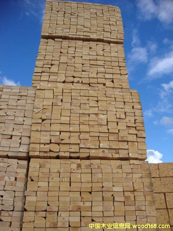 �c���鿴�����S�ɷŴ�DƬ