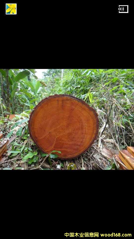 �����e�tľ��Ԕ����B